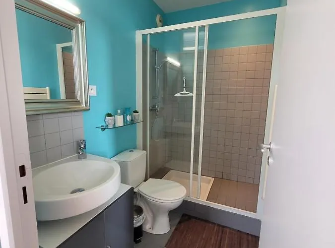 Apartment Meuble Renove Ideal Pour Curistes Ou Vacanciers La Roche-Posay